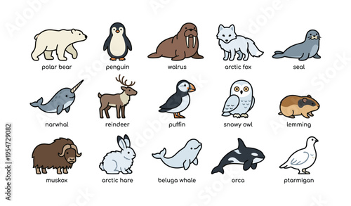 Illustrated arctic animals collection featuring polar wildlife