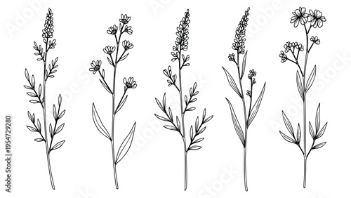 Black background with no visible objects or subjects present