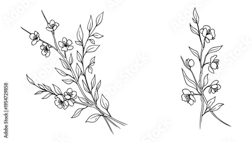 Black background with white streaks and marks