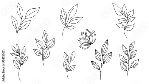 Minimalist line drawing of various leafy plant branches and a flower on white background for creative design use