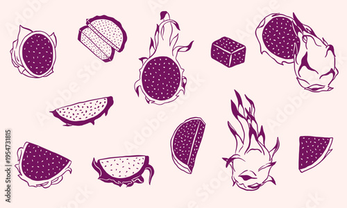 dragon fruit doodle illustration hand drawn collection set