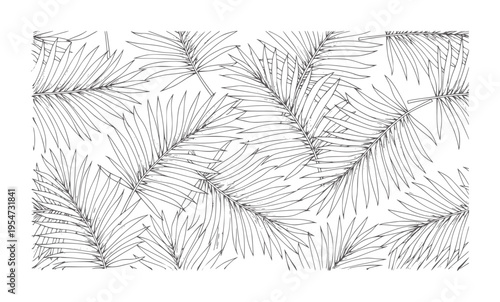 Black and white palm frond pattern with linework leaf tropical