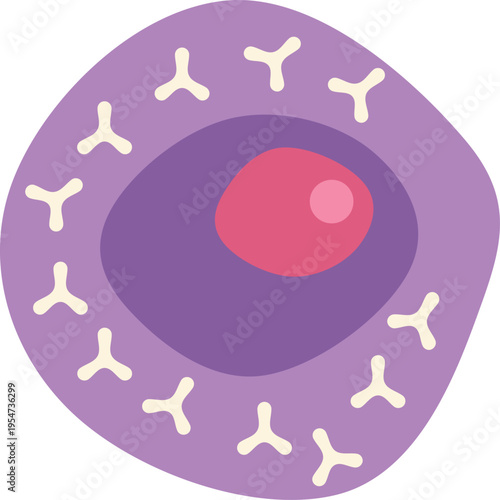 Plasma cell generating antibodies for the body's immune system