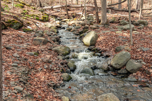 Фотография small brook cascading through  barrett park