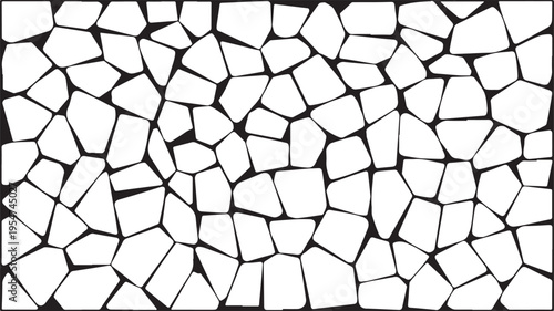White and black mosaic pattern with irregular polygonal tiles