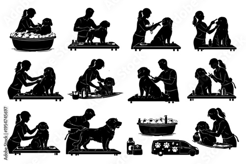 Dog grooming steps with male and female groomers working with various breeds.