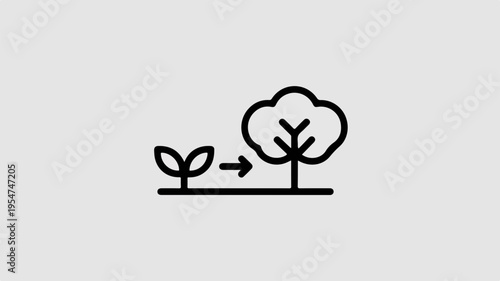 Growing tree from small seedling to full bloom symbolizing growth and development in nature