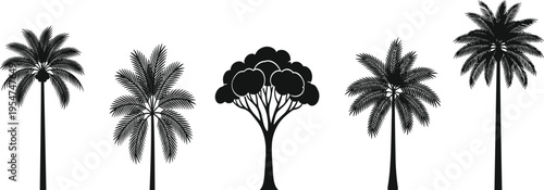 Black tropical tree silhouettes set featuring palm varieties and broadleaf tree isolated vector illustration for landscape design and botanical graphics