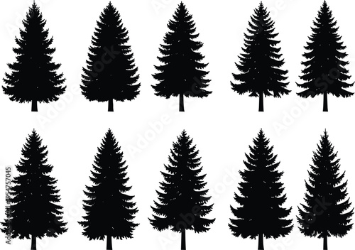 Pine tree silhouette set, coniferous forest fir and spruce icons, evergreen nature collection, woodland landscape elements, winter Christmas trees, vector.