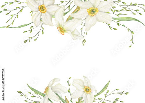 Watercolor white Daffodils, meadow grasses border on isolated background. Hand drawn spring blooming narcissus frame, empty space for text. Floral illustration for wedding greeting cards, invitations.