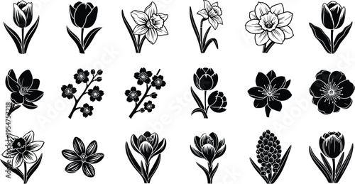 Collection of black and white tropical flower and symbols hibiscus plumeria