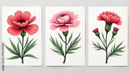 Set of 3 pink flower illustrations vector