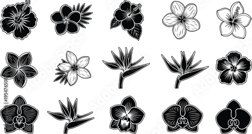 Collection of black and white tropical flower and symbols hibiscus plumeria