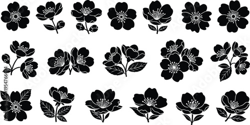 Collection of black and white tropical flower and symbols hibiscus plumeria