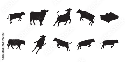 Cow Silhouette Set. Black cow silhouettes in various poses, including standing, walking, running, and jumping, isolated on white background.
