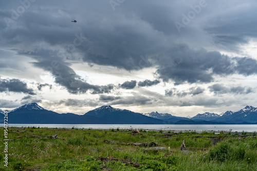Alaska mountains, glacier, forest, view of Homer spit