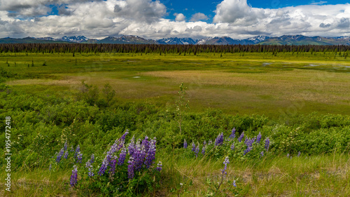 Alaska mountains, glacier, forest, view of Homer spit