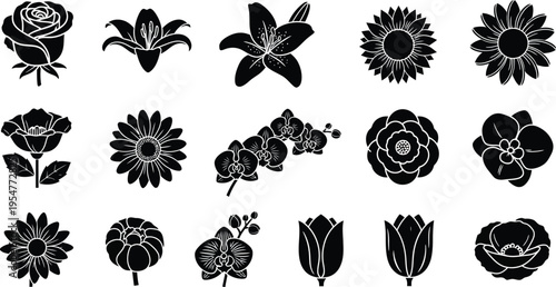 Collection of black and white tropical flower and symbols hibiscus plumeria