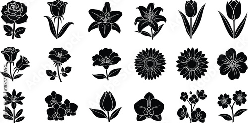 Collection of black and white tropical flower and symbols hibiscus plumeria