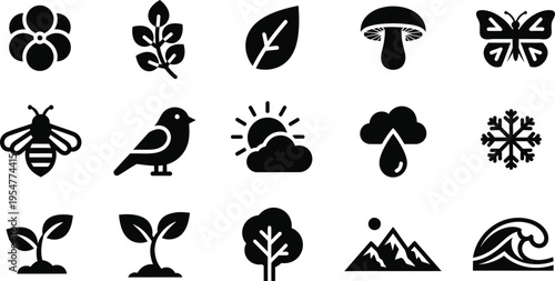 Collection of black and white tropical flower and symbols hibiscus plumeria