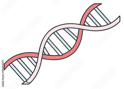 Detailed vector line art illustration of a DNA double helix structure, symbolizing genetics, biology, scientific research, and molecular life sciences.