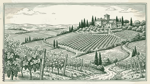This vintage-style illustration depicts a picturesque Italian vineyard with rolling hills, a charming villa, and grapevines heavy with fruit, evoking a sense of rustic beauty and agricultural heritage