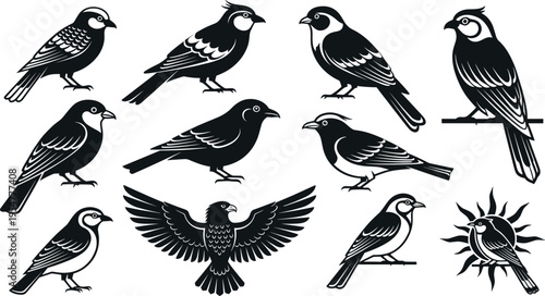 Variety of small bird silhouette illustrations including perched songbirds and flying eagle, black wildlife avian set, detailed feather shapes vector isolated on white