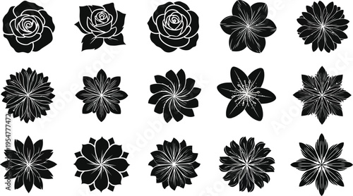 Collection of black and white tropical flower and symbols hibiscus plumeria