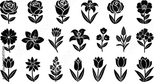 Collection of black and white tropical flower and symbols hibiscus plumeria