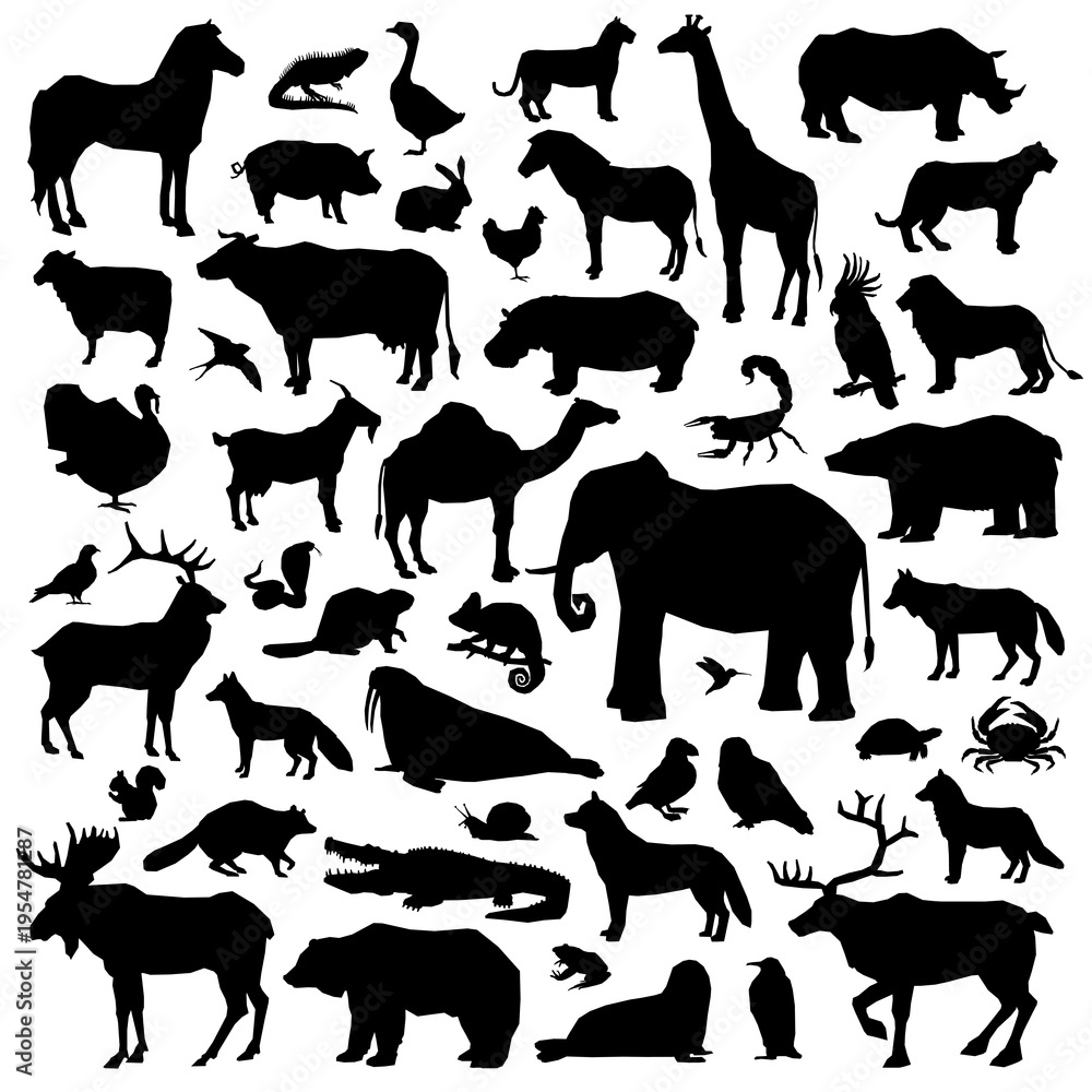 Fototapeta premium Animals Suilhouette Big Set