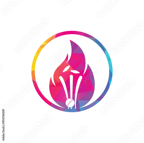 Fire cricket player vector logo design. Cricket fire logo icon. 