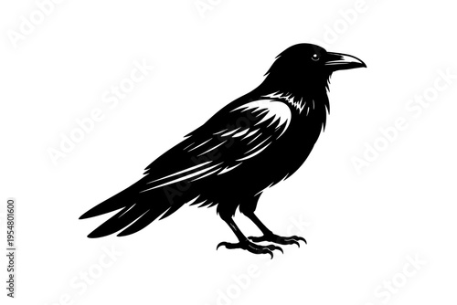 Majestic Black Crow or Raven Silhouette Vector Illustration Perfect for Dark Academia, Gothic, and Nature-Themed Designs. High-Quality Graphic Art for Tattoos, Logos, and Mystical Digital Projects.