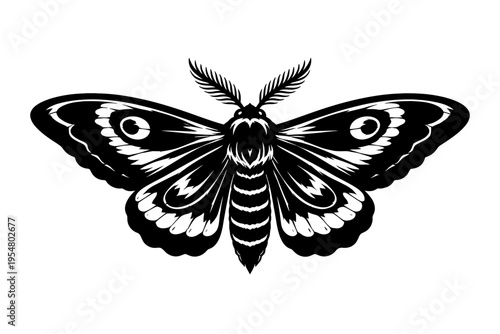 Exquisite Black and White Moth Illustration with Ornate Wings and Feathery Antennae – A Detailed Vector Graphic Design Featuring Striking Eye-Spots, Perfect for Nature Enthusiasts, Tattoo Art, and Ele