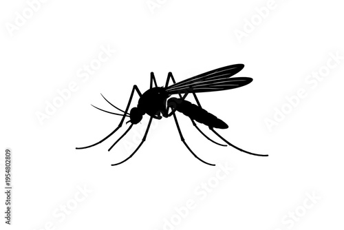 Crisp black silhouette vector illustration of a mosquito, a biting insect known for disease transmission like malaria, dengue, Zika. Ideal for pest control, public health warnings, medical graphics, s