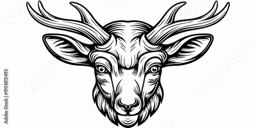 Majestic Stag Head Vector - Detailed Buck Antler Black and White Line Art