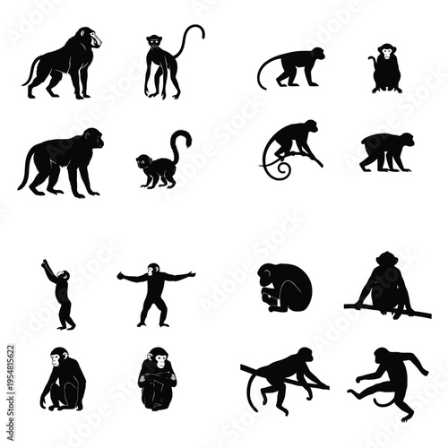 Collection of diverse monkey and primate silhouettes in various poses, including baboons, macaques, and apes, isolated on a white background.