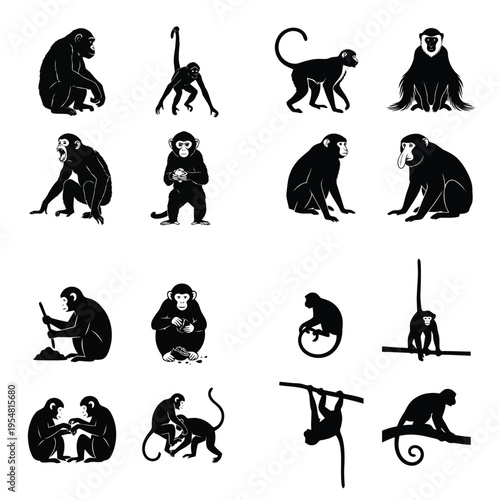 Collection of diverse monkey and ape silhouettes