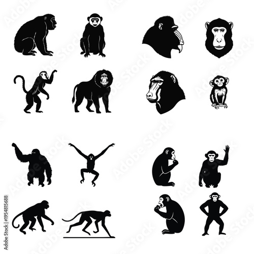 Diverse collection of monkey and ape black silhouettes, featuring various primate species in different poses and views for wildlife themed designs.