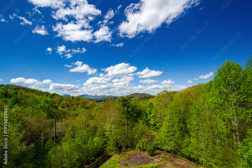 Fototapeta premium Blue sky over the Blue Ridge