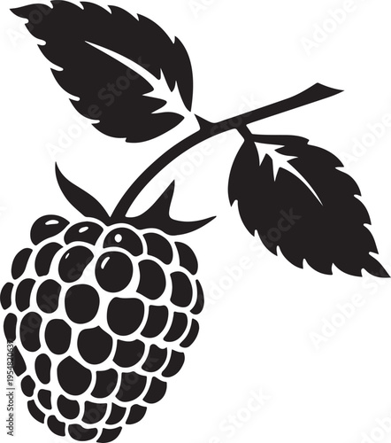 Black silhouette of a raspberry fruit with leaves on a stem on a transparent background