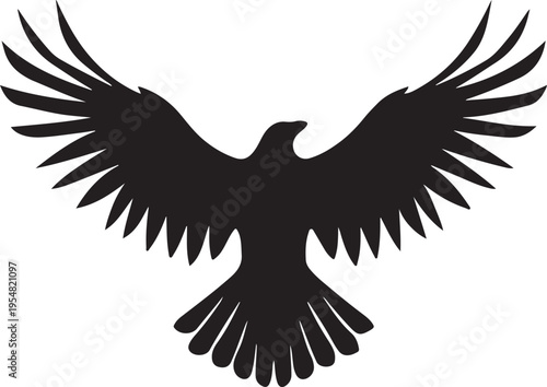 Eagle bird silhouette with wide spread wings soaring in sky isolated on dark background