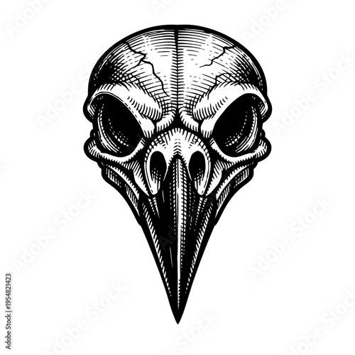 Detailed black and white stylized raven skull woodcut illustration. Features sharp beak, hollow eyes, cracked cranium. Dark, gothic, mystical, macabre avian bone graphic. Perfect for tattoos, Hallowee