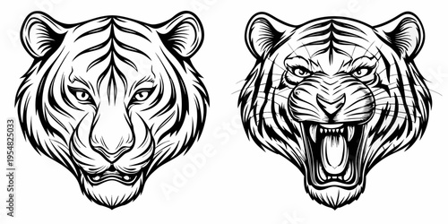 Tiger Head Calm and Roaring Front View Monochrome Line Art