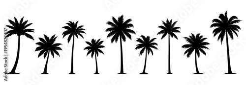 Set of 9 black palm tree silhouettes vector isolated on white background for tropical summer beach vacation designs
