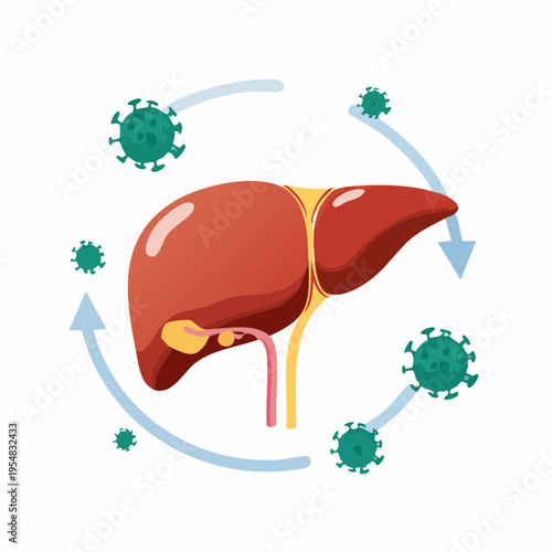 Medical illustration depicting liver with gallbladder under viral attack, liver disease concept.