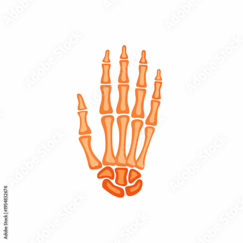 Orange skeletal hand illustration on a white background