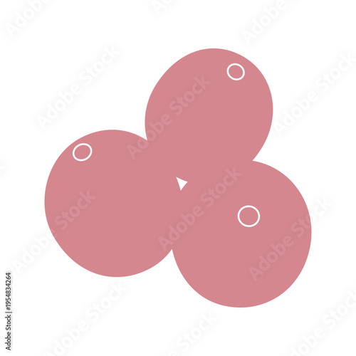 クランベリーのシンプルなカラーイラスト