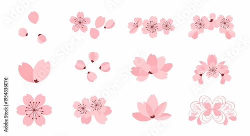 Collection of Elegant Pink Floral Designs for Creativity