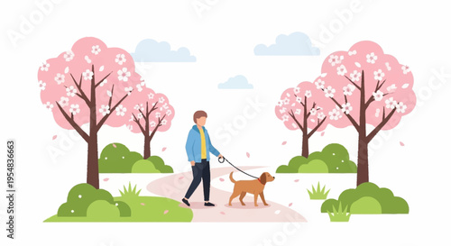 Man Walking Dog in Blooming Cherry Blossom Park