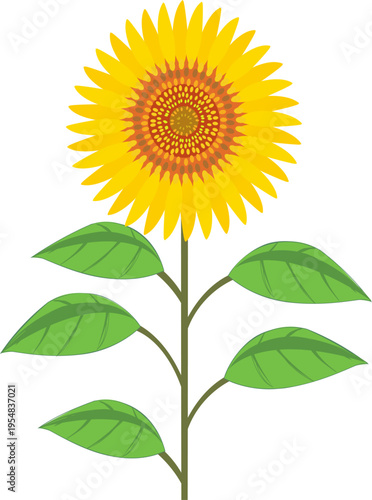 明るい太陽の光を浴びて咲く元気でポジティブな印象の黄色いひまわりのシンプル植物イラスト